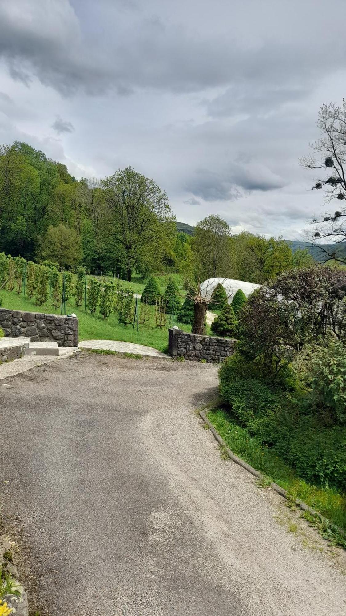 Chambre D'Hote Dans Le Cantal Vallee De La Maronne Saint-Martin-Valmeroux Exterior foto